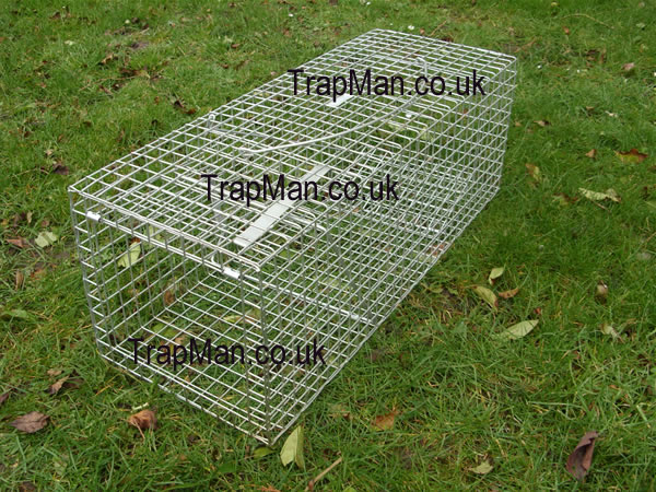 feral cat trap