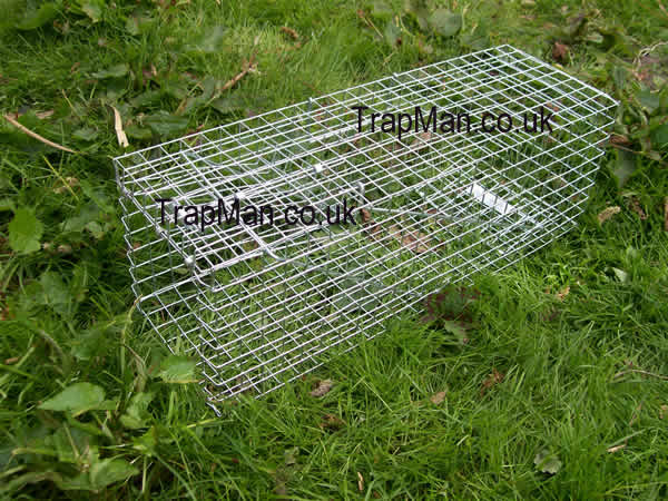 eco squirrel trap