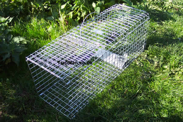 Folding rabbit trap