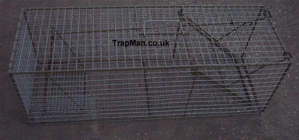 large cat trap