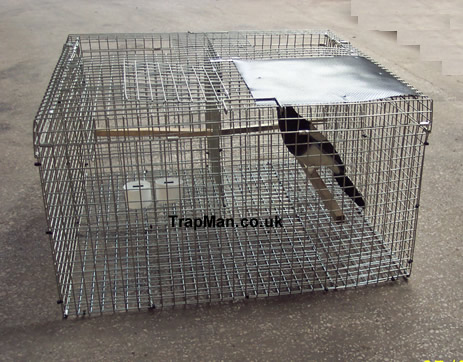 larsen magpie trap top entry