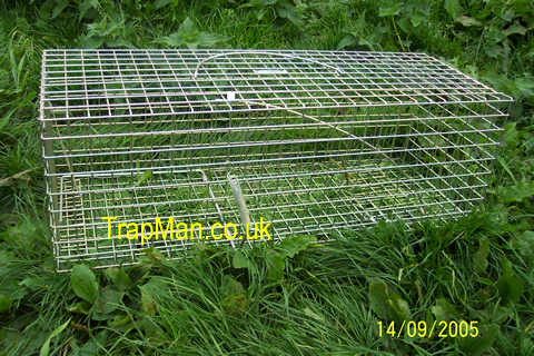 pack of four pro gold rabbit traps