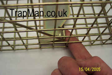 Pro gold squirrel trap treadle setting