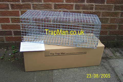 single catch rabbit trap