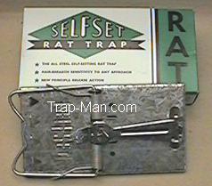 self set rat trap