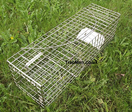 new design squirrel trap