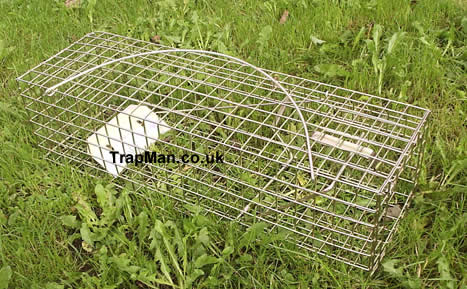Pack of nine Trap Man grey squirrel traps 139.99 +del & vat, equivalent to 15.55 each