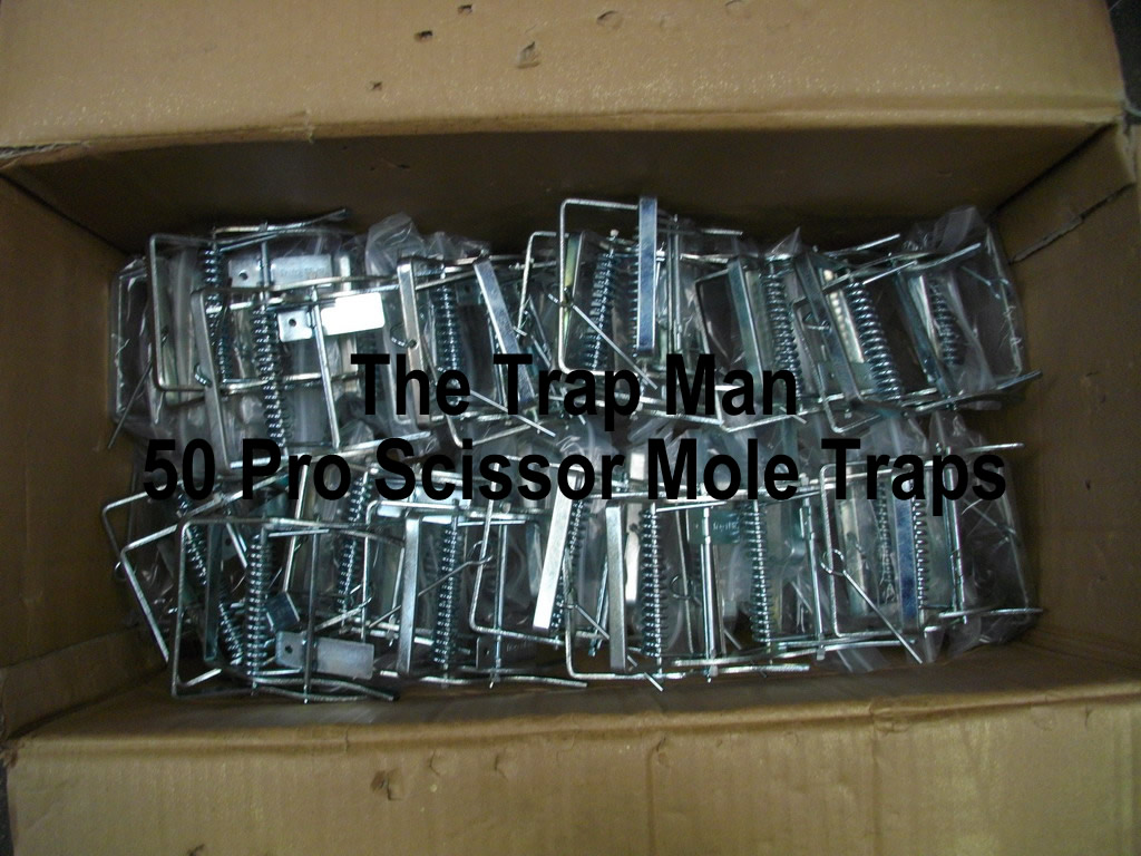 fifty pro scissor mole traps